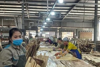 Sản xuất ván ép xuất khẩu tại Công ty cổ phần Sơn Thủy, tỉnh Hòa Bình. (Ảnh VŨ HOÀNG )