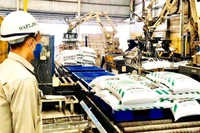 Sản xuất phân bón DAP tại Công ty cổ phần DAP số 2 - Vinachem. (Nguồn: Vinachem)