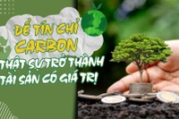 Để tín chỉ carbon thật sự trở thành tài sản có giá trị