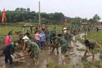 Cán bộ, chiến sĩ lực lượng vũ trang Quân khu 4 giúp nhân dân nạo vét kênh mương nội đồng. 