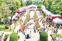 Toàn cảnh Lễ hội bánh mì Việt Nam năm 2025 vừa diễn ra tại thành phố. (Ảnh CTV) 