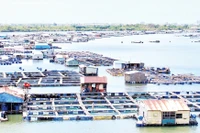 Nuôi thủy sản lồng bè tại xã Long Sơn, thành phố Vũng Tàu. 