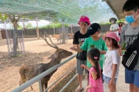 Khách du lịch tham quan trang trại Tiên Tiến Farm & Zoo ở Ninh Thuận. 
