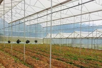 Nguồn vốn vay được Hợp tác xã dịch vụ nông nghiệp tổng hợp Tân Tiến, thành phố Đà Lạt (Lâm Đồng) đầu tư hiệu quả.
