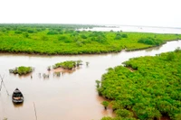 Vườn quốc gia Xuân Thủy (huyện Giao Thủy, Nam Định) sẽ được xây dựng hồ sơ đề cử thành Vườn Di sản ASEAN.