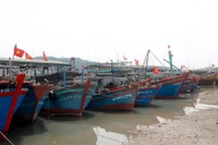 [Video] Hướng dẫn kỹ năng phòng tránh bão