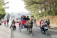 Dịch vụ xe ngựa tham quan quanh hồ Xuân Hương-Đà Lạt từng hấp dẫn du khách. 