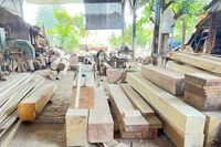 Làng nghề Hương Ngải, xã Hương Ngải, huyện Thạch Thất, thành phố Hà Nội. (Ảnh: TUẤN ANH)