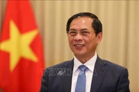 Phó Thủ tướng Chính phủ, Bộ trưởng Ngoại giao Bùi Thanh Sơn. Ảnh: TTXVN.