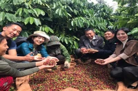 Cà-phê là một trong những nông sản Việt Nam xuất khẩu nhiều vào thị trường ASEAN.