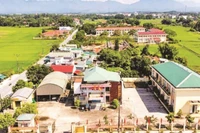 Các mô hình sản xuất nông nghiệp tập trung đã tạo động lực để xã Đầm Hà phát triển bền vững.