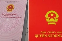 Ảnh minh họa.