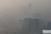 Sáng 3/1, Hà Nội là thành phố có chỉ số ô nhiễm không khí (AQI) cao nhất thế giới, đạt mức trung bình 284 vào 9 giờ 25 phút. Đây là ngưỡng rất không tốt cho sức khỏe con người.