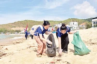 Thanh niên tình nguyện dọn rác làm sạch bãi biển Nhơn Hải (thành phố Quy Nhơn).