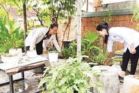 Cán bộ các trạm y tế hướng dẫn người dân vệ sinh môi trường tại hộ gia đình.