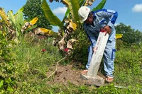 Cắm mốc, giao ranh phục vụ công tác bồi thường, hỗ trợ, tái định cư dự án đường bộ cao tốc Thành phố Hồ Chí Minh-Mộc Bài.