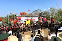 Những chú voi tham gia Hội voi Buôn Đôn năm 2023.