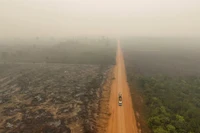 Hình ảnh chụp bằng máy bay không người lái cho thấy cảnh khói, cháy rừng Amazon ở Labrea, bang Amazonas, Brazil. Ảnh: REUTERS