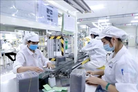 Sản xuất linh kiện điện tử tại Công ty Youngbag ViiNa khu Công nghiệp Bình Xuyên, Vĩnh Phúc. Ảnh minh họa: TTXVN