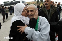 Người thân đón các tù nhân Palestine được trả tự do tại thành phố Ramallah, Khu Bờ Tây, ngày 1/2. (Ảnh: THX/TTXVN)
