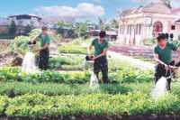 Đại đội Trinh sát cơ giới tăng gia sản xuất.