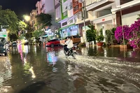 Đường Trần Đại Nghĩa vào tối ngày 2/4 chìm trong nước.