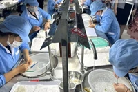 Hơn 4 tấn tổ yến tinh chế cùng hàng triệu sản phẩm tổ yến đã được xuất khẩu chính ngạch vào Trung Quốc, đạt giá trị hơn 4 triệu USD. 