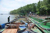 Một vụ khai thác cát trái phép trên vùng biển Cần Giờ bị bắt giữ và xử lý cuối năm 2022.