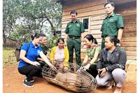 Trao sinh kế giúp phụ nữ miền núi vươn lên thoát nghèo bền vững.