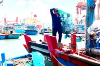 Ngư dân thu gom chai nhựa sau mỗi chuyến đánh bắt dài ngày trở về.