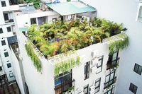 Tòa nhà thí điểm trồng cây xanh và nghiên cứu điều kiện vi khí hậu.