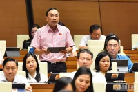 Đại biểu Quốc hội Phạm Văn Hòa phát biểu ý kiến tại hội trường sáng 2/6. (Ảnh: THỦY NGUYÊN)