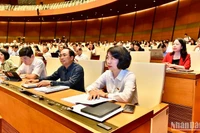 Các đại biểu Quốc hội dự phiên họp sáng 29/5. (Ảnh: ĐĂNG KHOA)