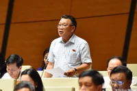 Cần quy định cụ thể việc đấu giá đối với một số loại tài sản đặc thù 