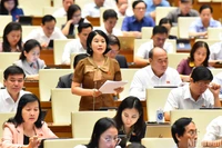 Đại biểu Nguyễn Thị Huế (đoàn Bắc Kạn) tham gia ý kiến thảo luận ở hội trường sáng 21/5. (Ảnh: THỦY NGUYÊN)