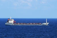 Tàu chở ngũ cốc của Ukraine tới ngoài khơi bờ biển thành phố Istanbul, Thổ Nhĩ Kỳ. (Ảnh: THX/TTXVN)