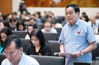 Đại biểu Hoàng Đức Thắng (đoàn Quảng Trị) phát biểu. (Ảnh: DUY LINH)