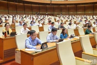 Các đại biểu dự phiên họp chiều 25/5. (Ảnh: ĐĂNG KHOA)