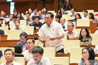 Hạn chế cổ đông lớn lạm quyền để thao túng hoạt động của tổ chức tín dụng