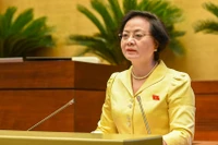 Trình Quốc hội sửa luật để thực hiện mô hình chính quyền địa phương 2 cấp