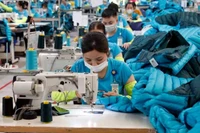 Dệt may Việt Nam duy trì thứ hạng cao trong xuất khẩu vào Hoa Kỳ. (Ảnh minh họa: TTXVN)