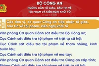 Hướng dẫn tố giác, báo tin về tội phạm, kiến nghị khởi tố từ ngày 1/3/2025