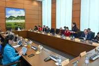 Quang cảnh phiên thảo luận tại Tổ 8. (Ảnh: DUY LINH) 