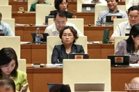 Các đại biểu Quốc hội làm việc tại hội trường, sáng 16/6/2025. (Ảnh: BÙI GIANG) 