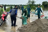Lực lượng chức năng huyện Chương Mỹ khắc phục sự cố tràn đê. 
