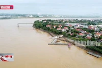 Dừng hoạt động cầu phao Phong Châu do nước sông Hồng lên cao
