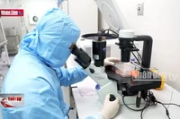 Kết hợp nghiên cứu thử nghiệm thuốc ung thư