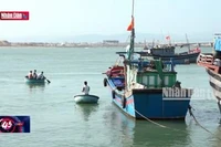 Nỗ lực hỗ trợ ngư dân đăng ký, đăng kiểm tàu cá