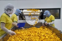 Kim ngạch xuất khẩu hàng hóa của Long An trong 6 tháng đầu năm 2024 tăng 16,5%.
