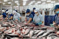 Theo Cục Thủy sản và kiểm ngư, nếu áp thuế đối ứng mức 46% sẽ ảnh hưởng lớn đến chuỗi sản xuất ngành hàng.